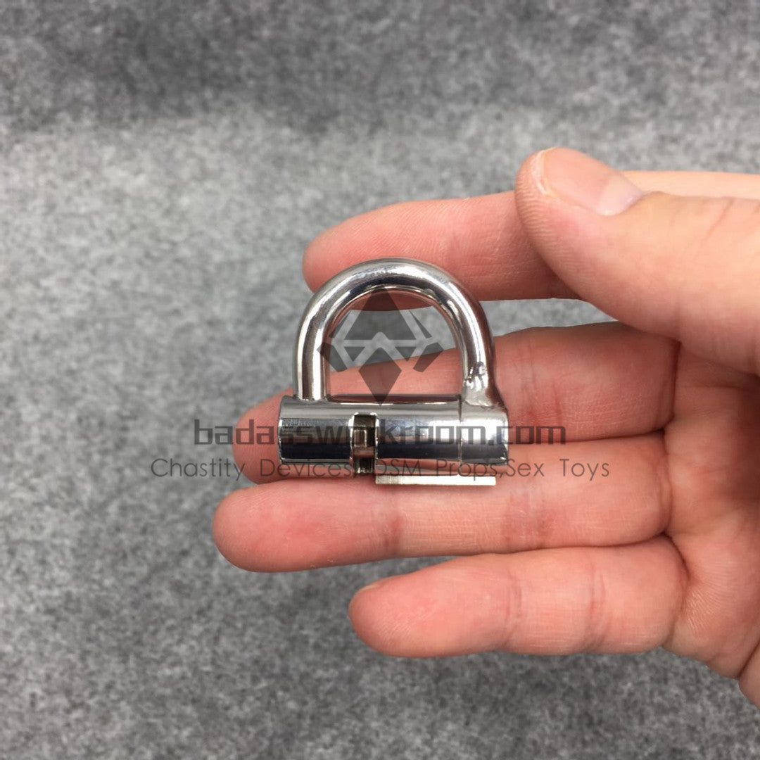 Custom Prince Albert D Ring PA Lock – badassworkroom pro