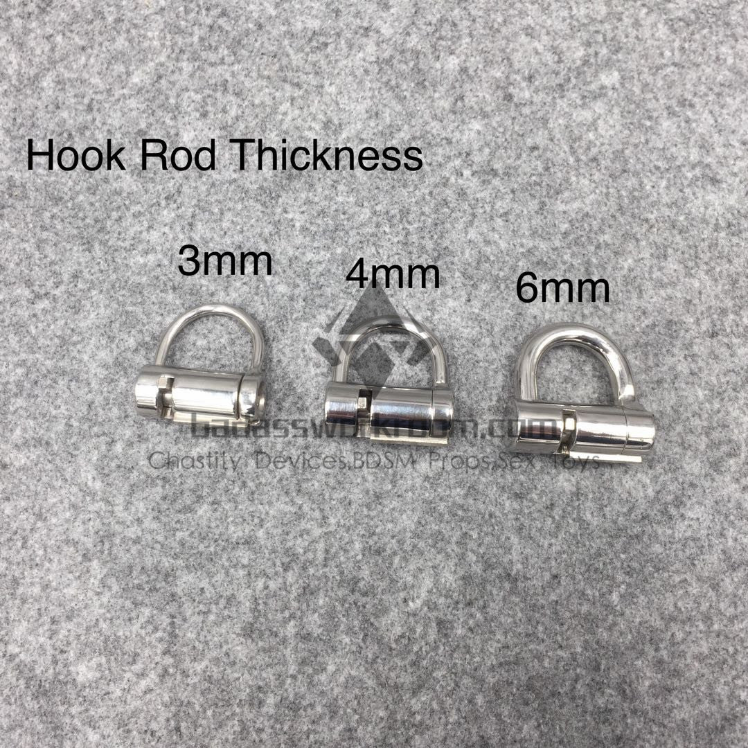 Custom Prince Albert D Ring PA Lock