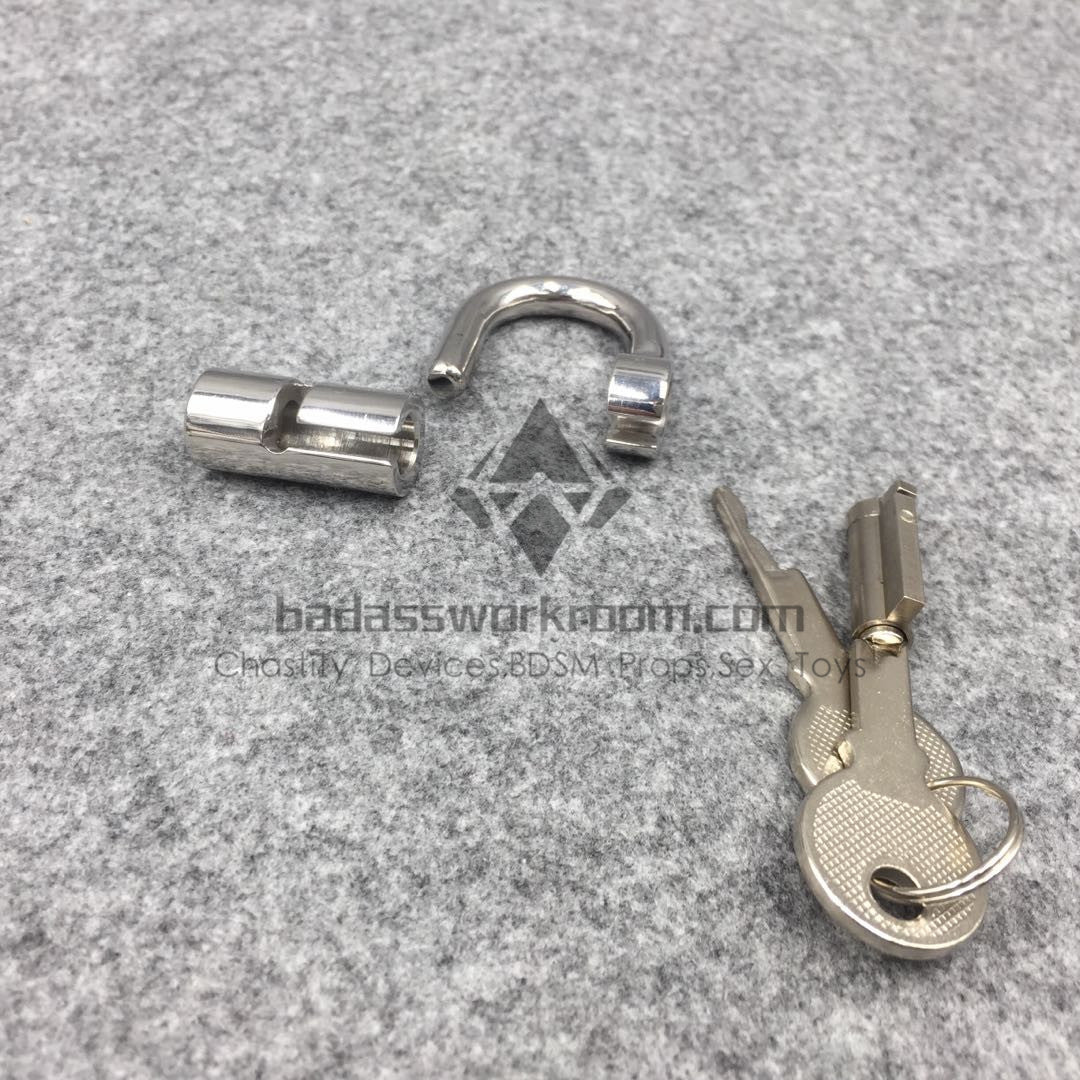 Custom Prince Albert D Ring PA Lock