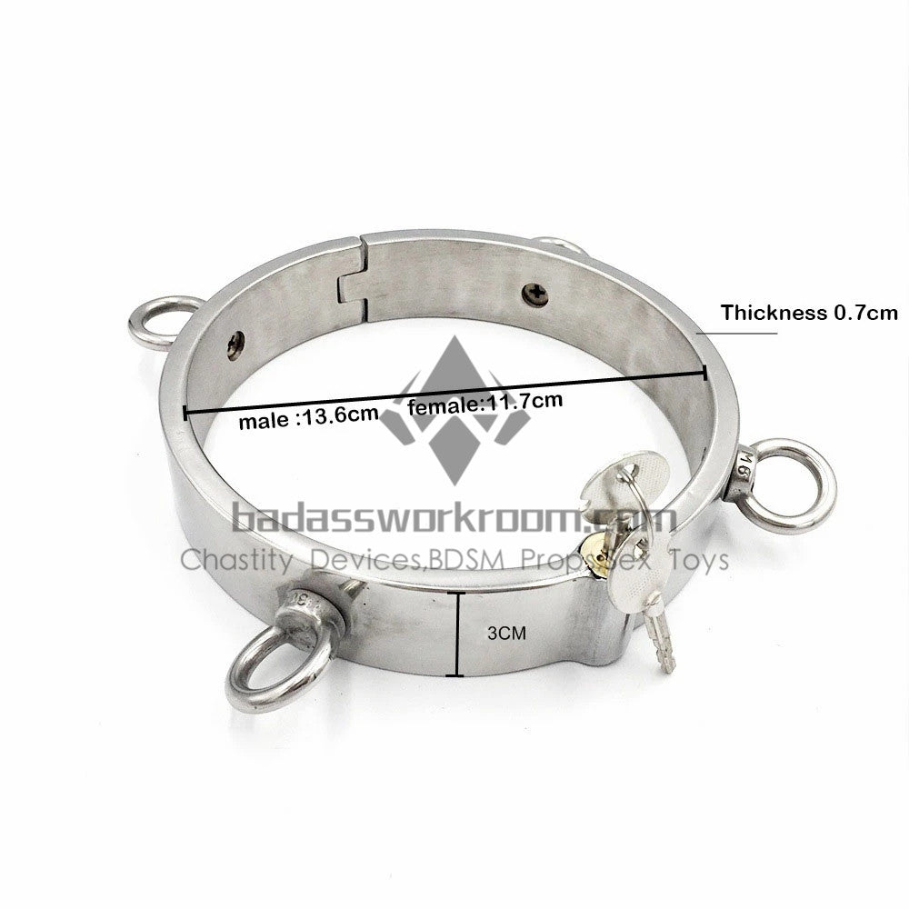 Stainless Steel BDSM Collar With Four Rings Attached